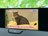 停車時に映像を楽しめます。お子様連れのご旅行など、移動時間を有効活用できます。快適な空間を演出します。
