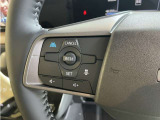 プロパイロットで高速も楽々です