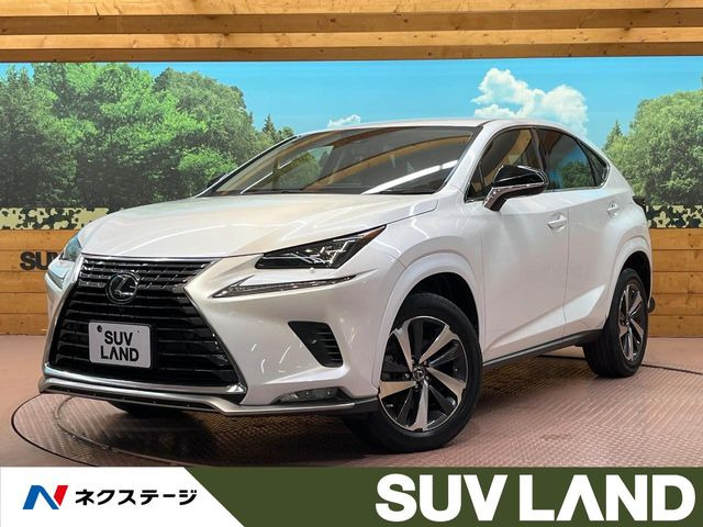 NX 300 スパイス&シック 