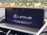 NX 300 スパイス&シック 