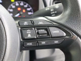 クルーズコントロール付きで高速道路も楽ですね♪