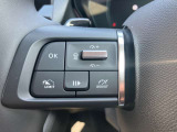 追従式のクルーズコントロール付きですので前車についていき、自動で加減速してくれます。