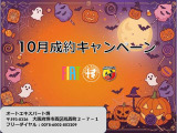 500X  クロス