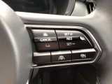 ステアリングスイッチで、先行車に自動追従するアダプティブクルーズコントロールが作動可能。設定した車速内での車間距離を自動で調整・維持。高速道路の渋滞時もアクセル・ブレーキ操作から解放されます。