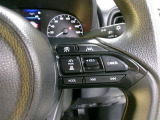 運転者が設定した速度を車自身が自動的に保つクルーズコントロール