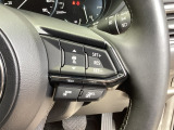 ミリ波レーダーで低速域〜高速域まで、先行車との車間を維持しながら追従走行を可能にします。長距離走行などでドライバーの負担を軽減します。