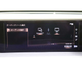 ミラーキャスト付き!
