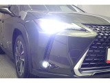 話題のLEDヘッドランプが採用されております! 省電力で長寿命、しかもとても明るく熱くなりにくい性質を持ったライトになります。虫も寄ってきにくい性質も持っております。