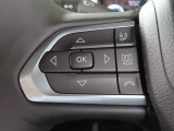 ステアリングホイールにメーター操作ボタンがあるので運転中も手をなさず操作ができます!