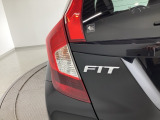 FITのエンブレムです。