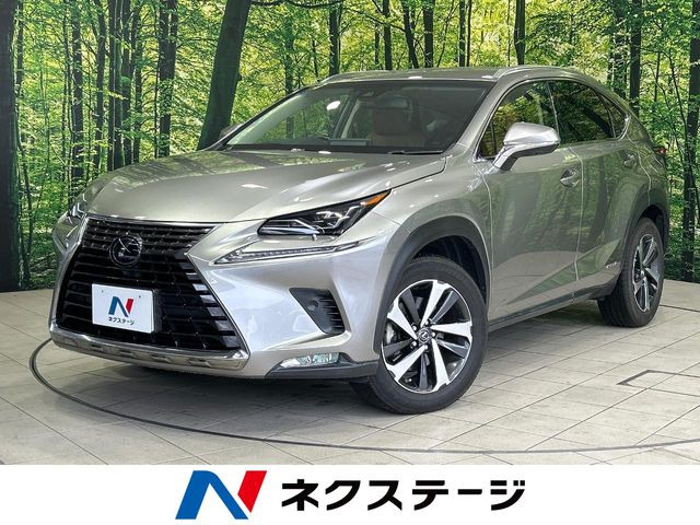 NX 300h バージョンL 