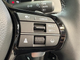 パドルシフトでマニュアル感覚の運転をお楽しみください!