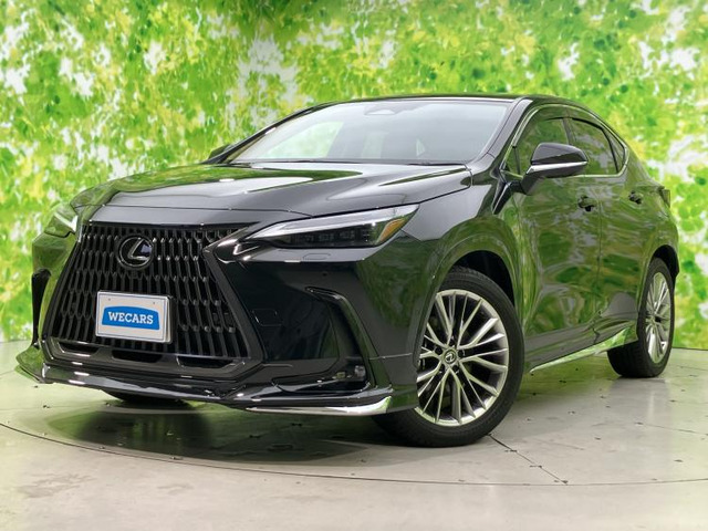 NX 350h バージョンL