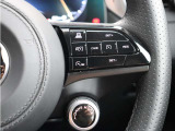 アダプティプクルーズコントロールはステアリングの右のスイッチで簡単に速度の調整や車間距離の設定が可能。