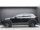 【左サイド】