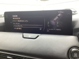 今では標準のパーキングセンサーも大きいお車の運転も安心して行うことが出来ます。