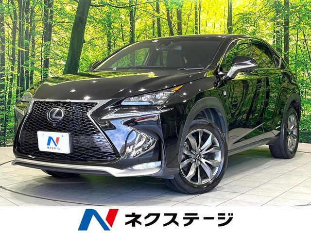 NX 300h Fスポーツ 