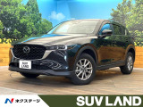禁煙車 ターボ ディーゼル(軽油) 純正SDナビ 全周囲カメラ