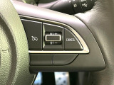 【クルーズコントロール】高速道路もラクラク走行。アクセルを離しても一定速度で走行ができ、長距離運転時の負担を軽減!加速・減速も簡単なスイッチ操作で調整できます。