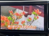 ◆北海道、東北、関東、中部、関西、中国、四国、九州、沖縄、全国各地どこからでも対応可能です!!お気軽にガリバーにお気軽にご相談ください!!