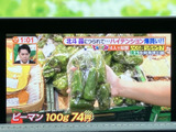停車時に、お好きな番組を楽しめます。お子様連れのファミリー層に最適です。