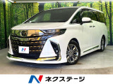 禁煙車 モデリスタエアロ ガラスルーフ 純正14型ナビ 後席モニター