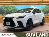 14インチディスプレイオーディオ 全周囲カメラ AC100V電源