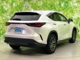 NX 250 