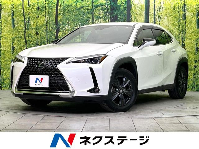 UX 250h バージョンC