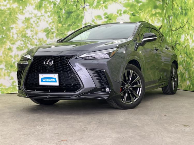 NX 350h Fスポーツ 