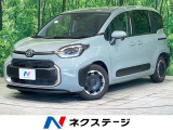 レーダークルーズ 両側電動ドア 後席モニター バックカメラ 衝突軽減装置