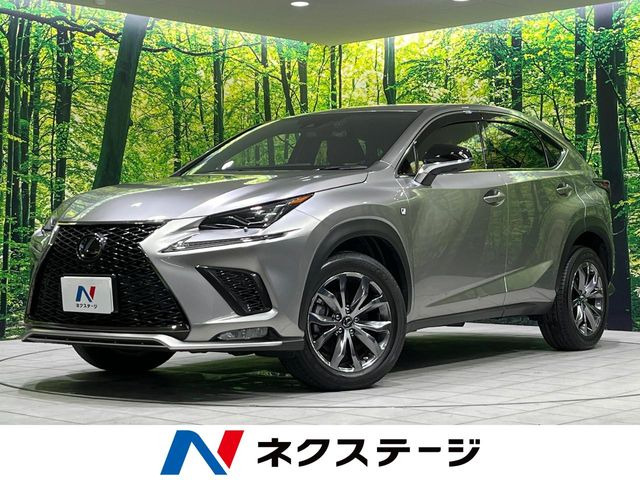 NX 300 Fスポーツ 