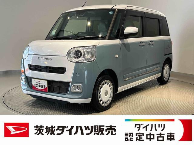 ムーヴキャンバス  ストライプス G