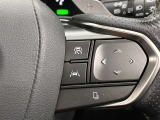 前方の車との車間を設定し、スピードを上げたり緩めたりを自動で行ってくれる追尾式の「レーダークルーズ」。上級装備の一つです!高級車にしかつかない嬉しい機能です。