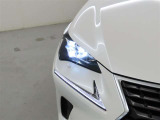 精悍な目つきのLEDヘッドランプを装備しております。