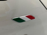 おしゃれなイタリアンフェンダーバッジ!