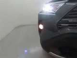 精悍な目つきのLEDヘッドランプを装備しております。
