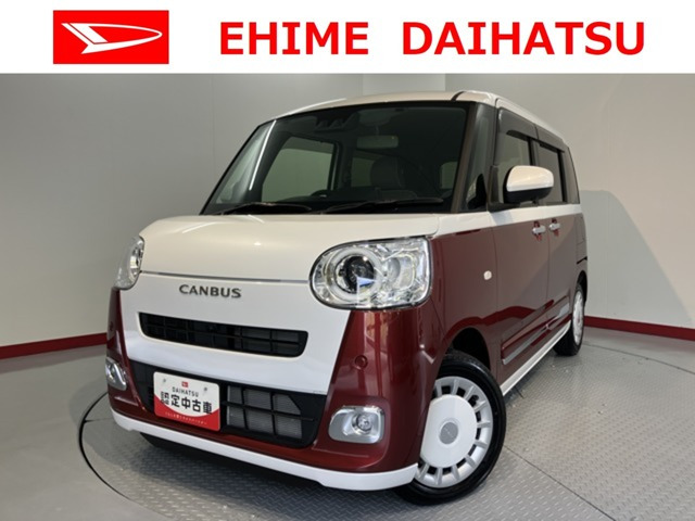 ムーヴキャンバス  ストライプス G