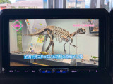 フルセグTV見れます!!