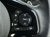 ◆アダプティブクルーズコントロール◆予め設定した車速内でクルマが自動的に加減速。前走車との適切な車間距離を維持しながら追従走行します。【LKAS】車線維持支援システムでステアリング操作を支援。