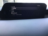 オーディオソースはこのようになっています。