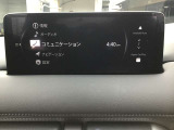 オーディオソースはこのようになっています。