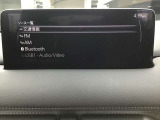 オーディオソースはこのようになっています。