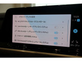 ドライバ―アシスト設定です。より安全に快適にドライブをお楽しみいただけるよう、さまざまな機能がついております。