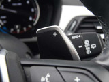 Paddle Shifter