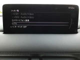 オーディオソースはこのようになっています。