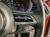 レーダークルーズコントロールは先行車との車間を維持しながら追従走行を行い、長距離でのドライバー負担を軽減させてくれます。