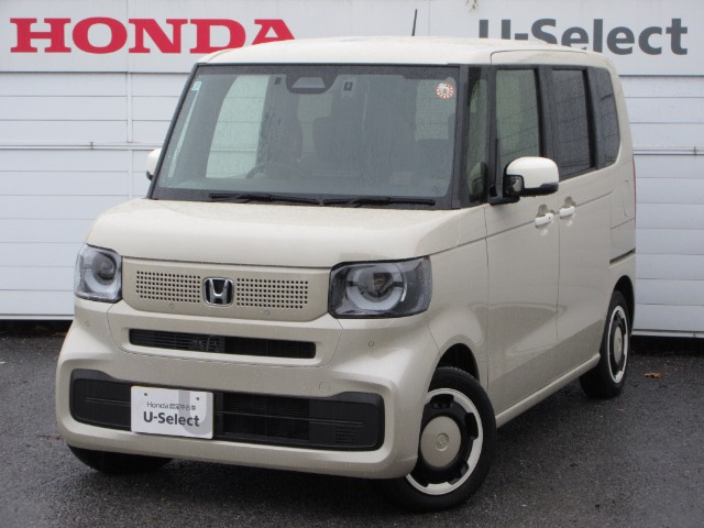 N-BOX ファッションスタイル モノトーン 
