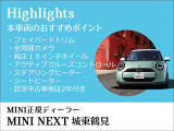 ミニエースマン SE