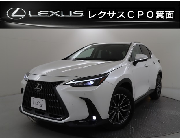 NX  